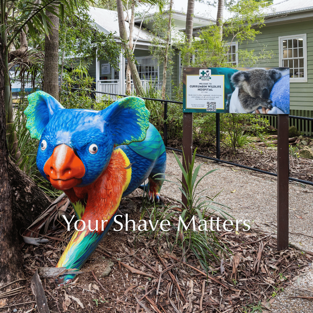 Make My Shave Donates directly to Currumbin Wildlife Hospital