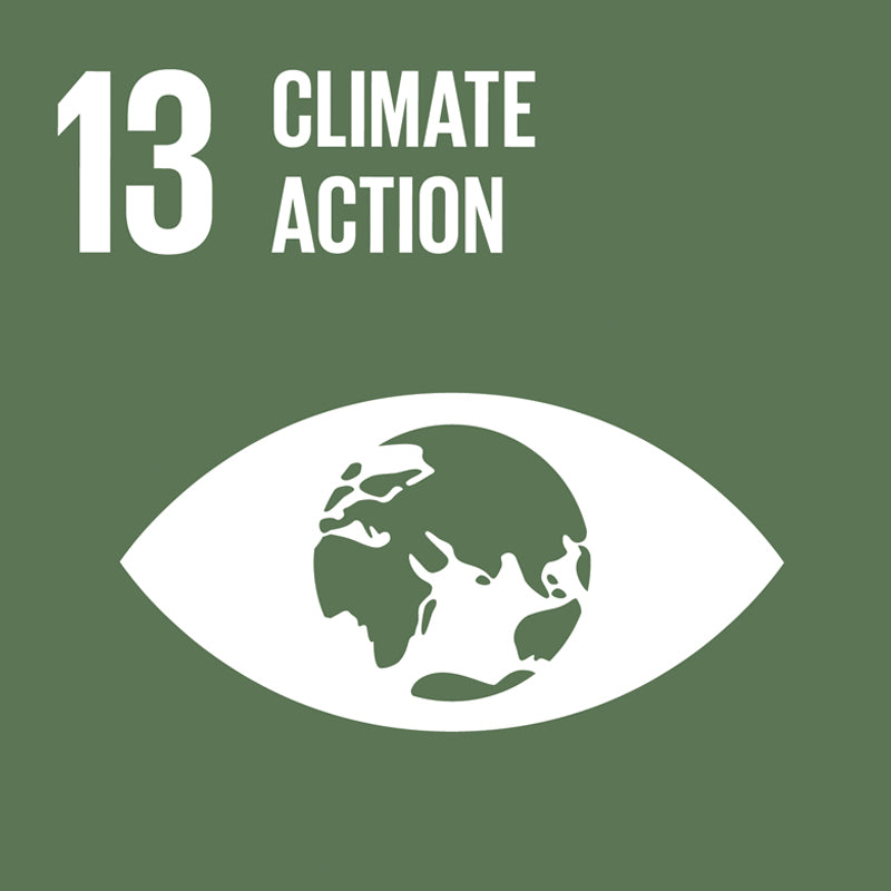 sustainable development goals. Make My Shave women's razor.