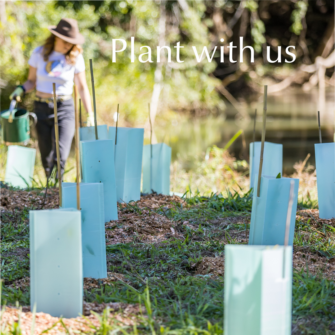 Tree planting sustainable day organised by Make My Shave team. 